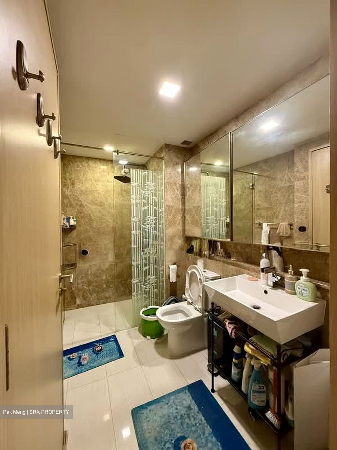 Boathouse Residences (D19), Condominium #551934351